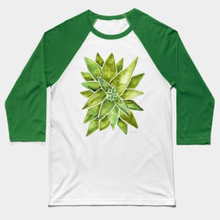 Green Aloe Vera Baseball T-Shirt